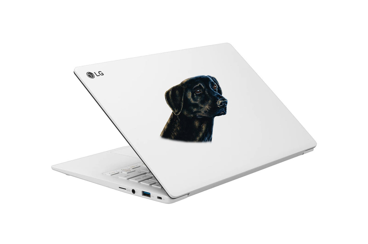 Labrador Retriever Sticker Decal Mini Golden Labrador, Black Labrador, Chocolate Labrador - Skiff Life