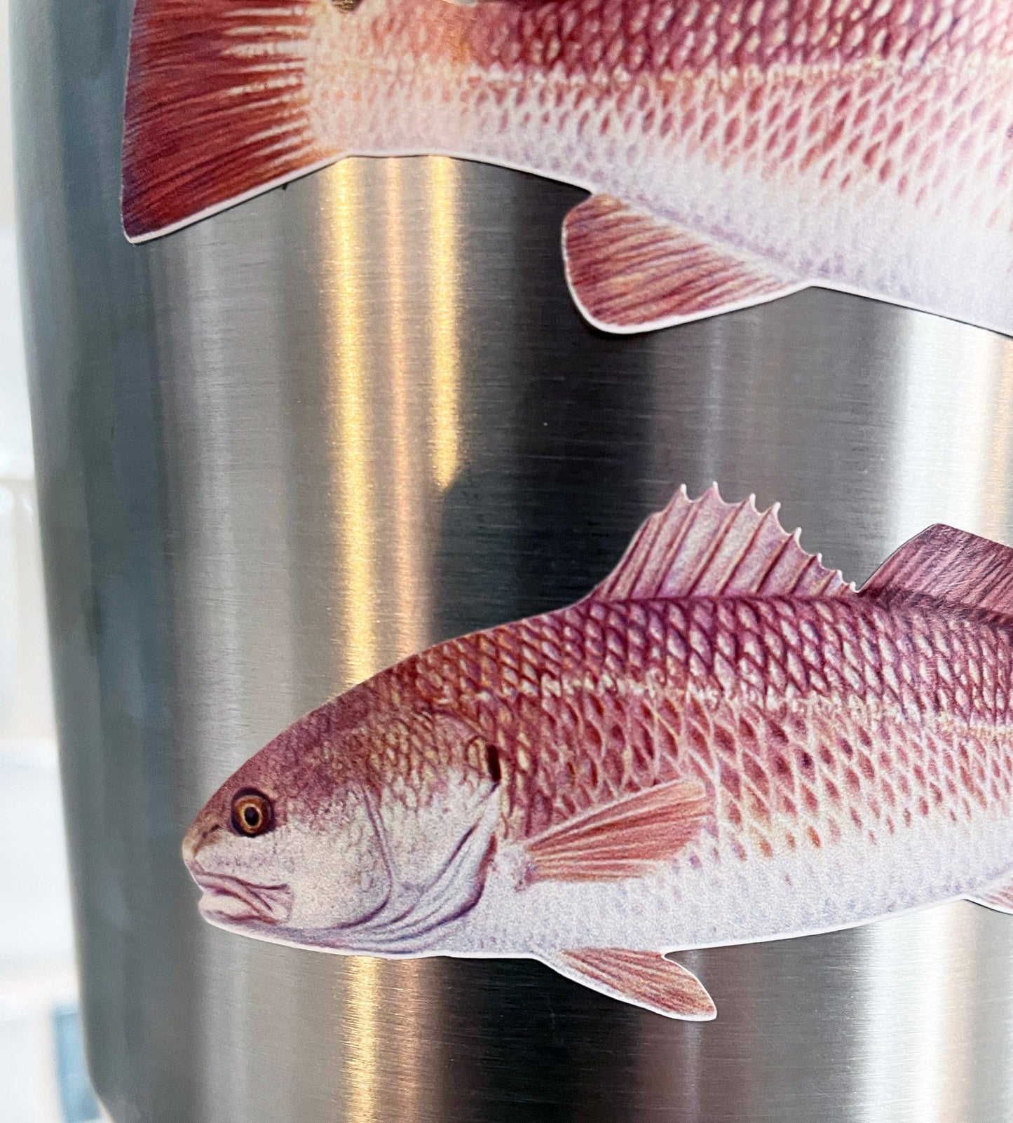 Qty. 2 Redfish Decal Red Drum Fishing Decals YETI Cup Decals - Skiff Life