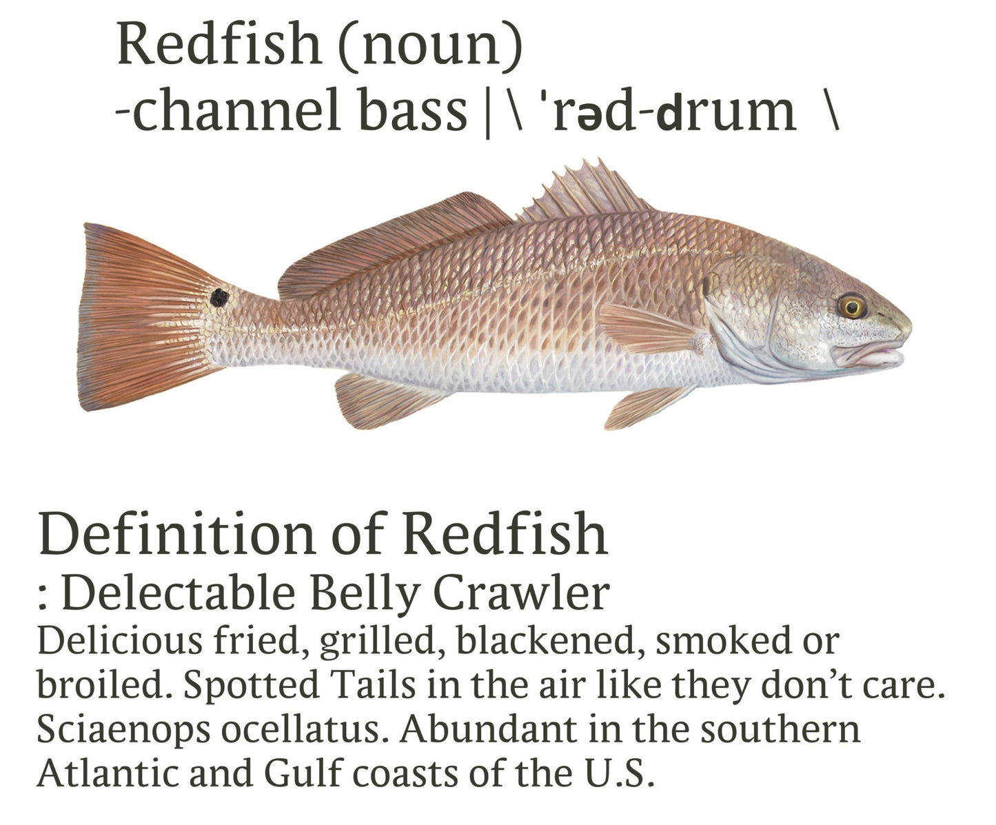 Redfish Fishing Shirts for Men Red Drum Channel Bass - +50 UV Sun Protection Moisture Wicking Technology - Skiff Life