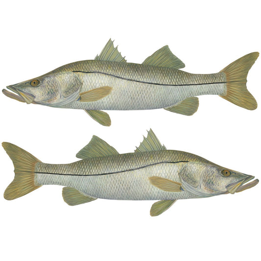 Snook Decal Fishing Sticker Mini - Skiff Life