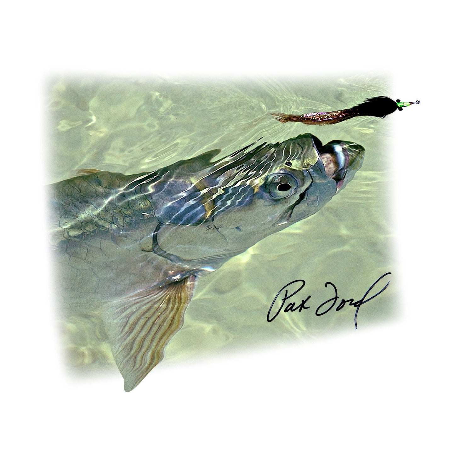 Tarpon Fly Fishing Shirt for Men by Pat Ford - Skiff Life