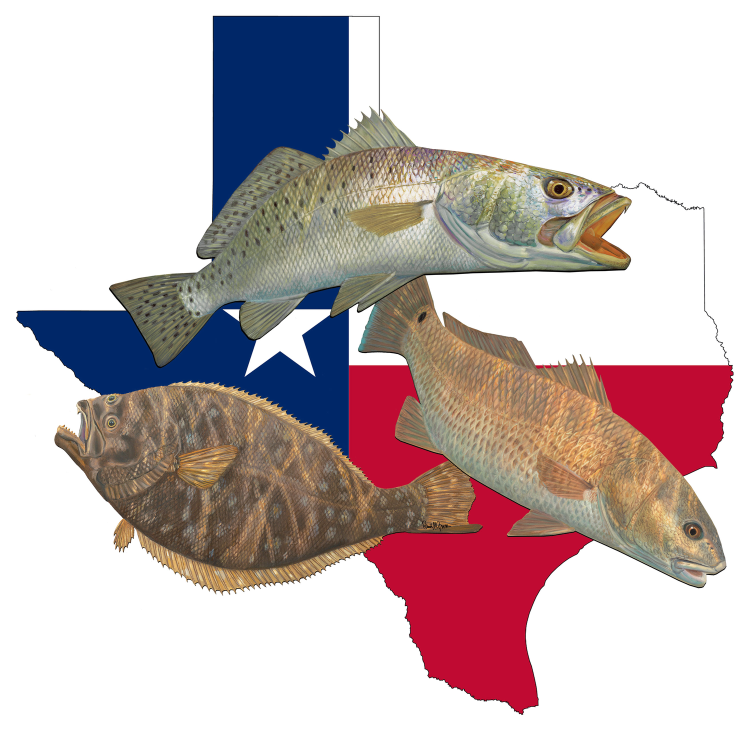 texas theme fishing hats shirts decals
