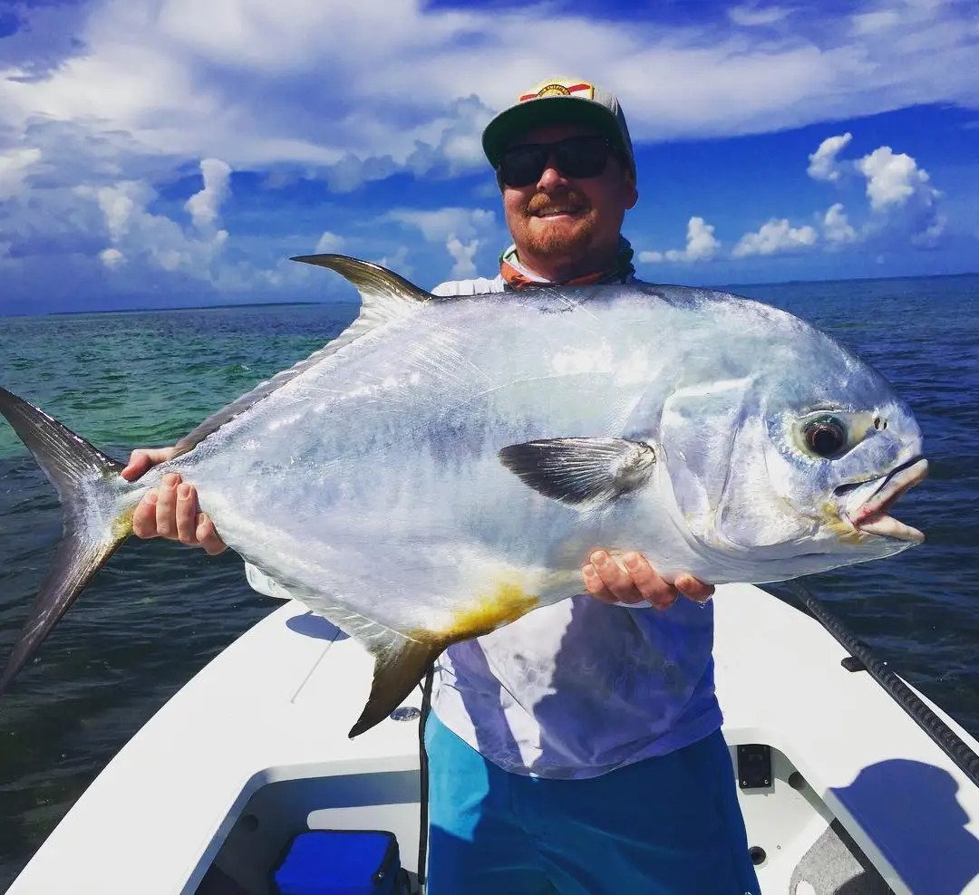 Permit Fish Sticker 4