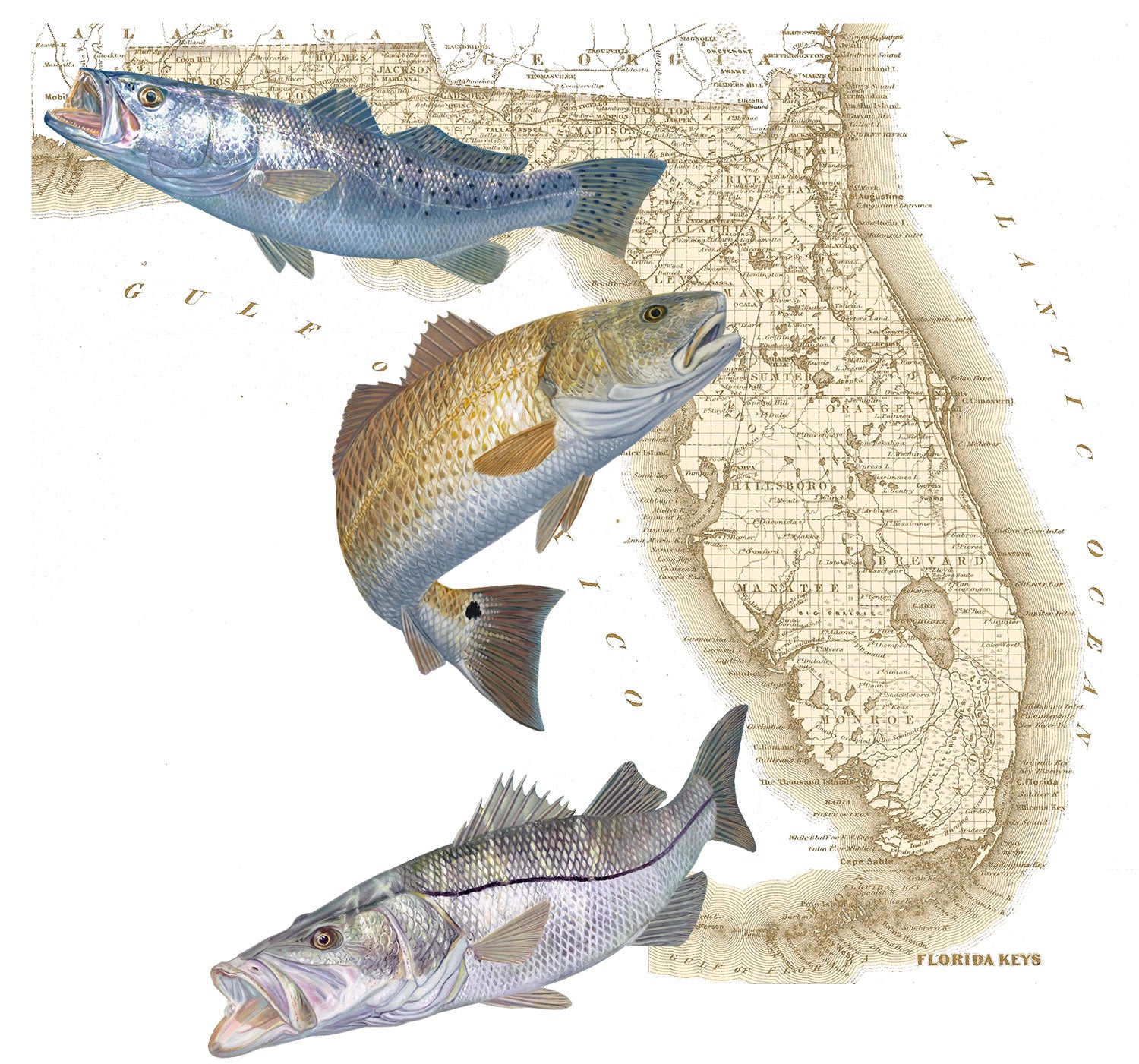 Snook, Redfish & Trout Florida Inshore Slam Men's Fishing Shirt - Skiff Life