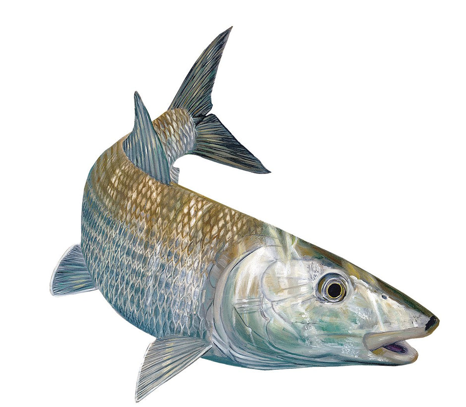 Bonefish Decals – Skiff Life