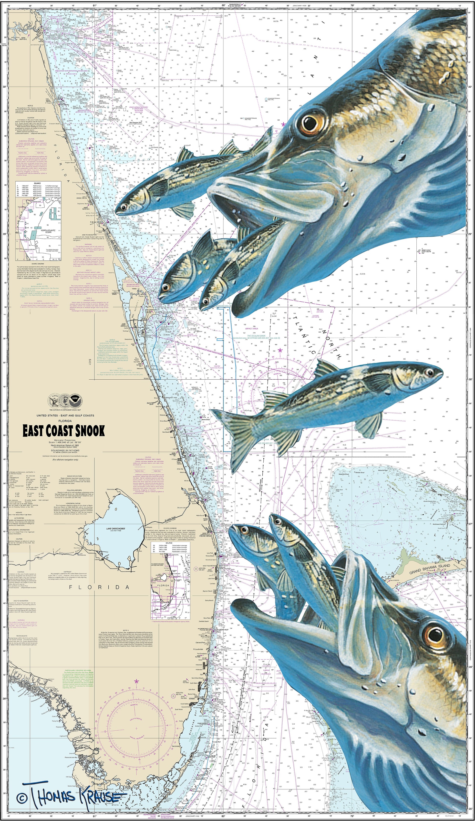 Florida East Coast Snook Fishing Shirts Florida or Snook Scale Sleeve Large / Ice Blue
