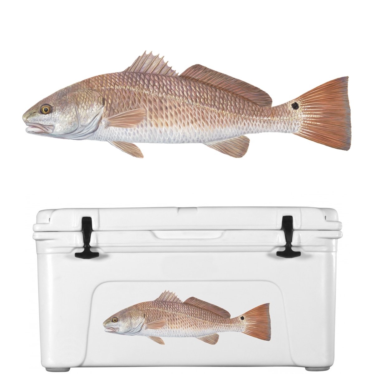 Lifelike Redfish Decal by Skiff Life | UV - Protected Vinyl Red Drum Sticker for Cars, Trucks, Boats - Skiff Life