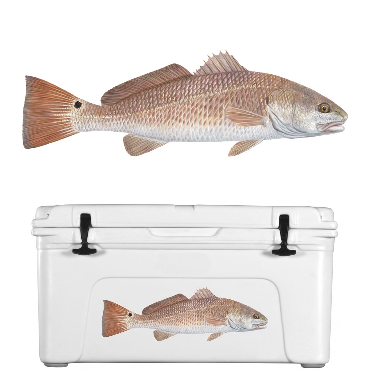 Lifelike Redfish Decal by Skiff Life | UV-Protected Vinyl Red Drum Sti
