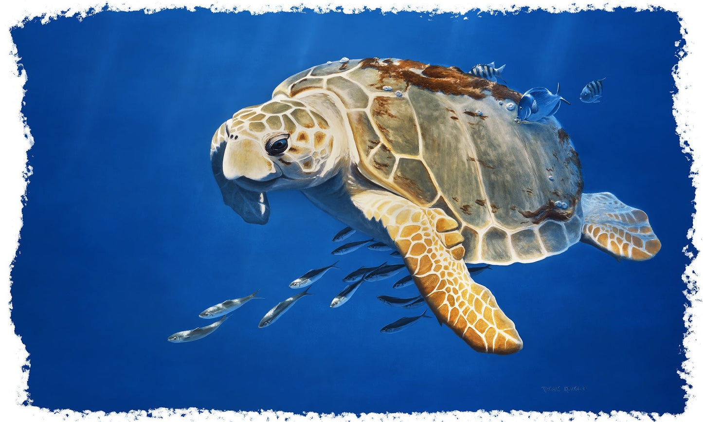 Loggerhead Sea Turtle Youth Long Sleeve Tshirt for Kids - Skiff Life