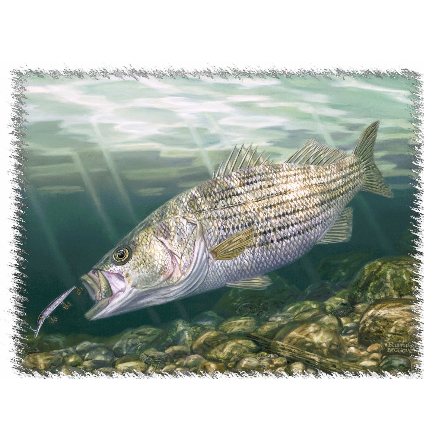 [New] Striper Fishing Shirts for Men with Striped Bass Fish Artwork - Skiff Life