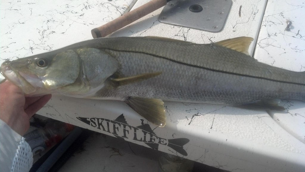 Skiff Life Florida Snook Decal UV - Protected Vinyl Sticker for Boats, Trucks, Coolers - Skiff Life