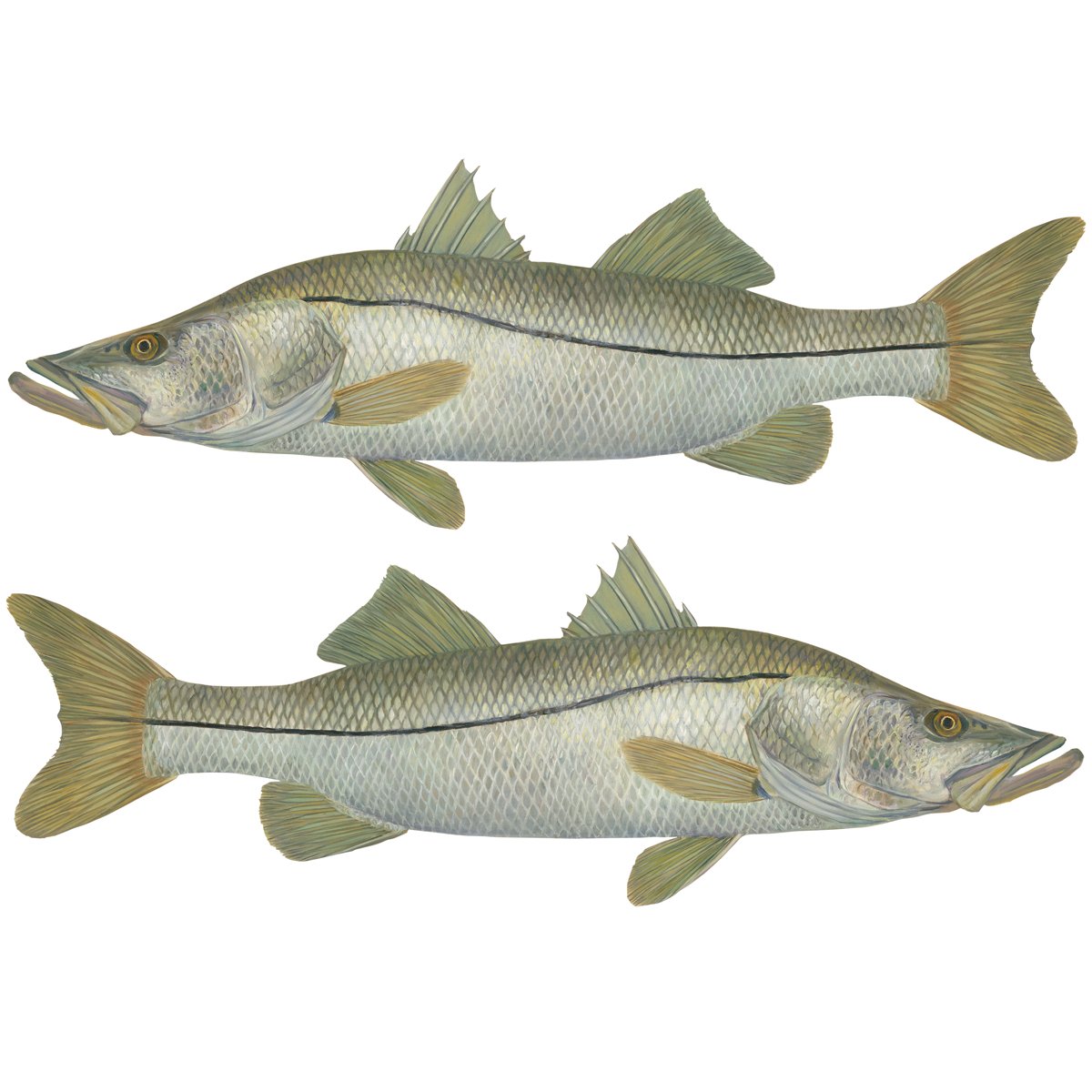 Snook Decal Fishing Sticker Mini - Skiff Life