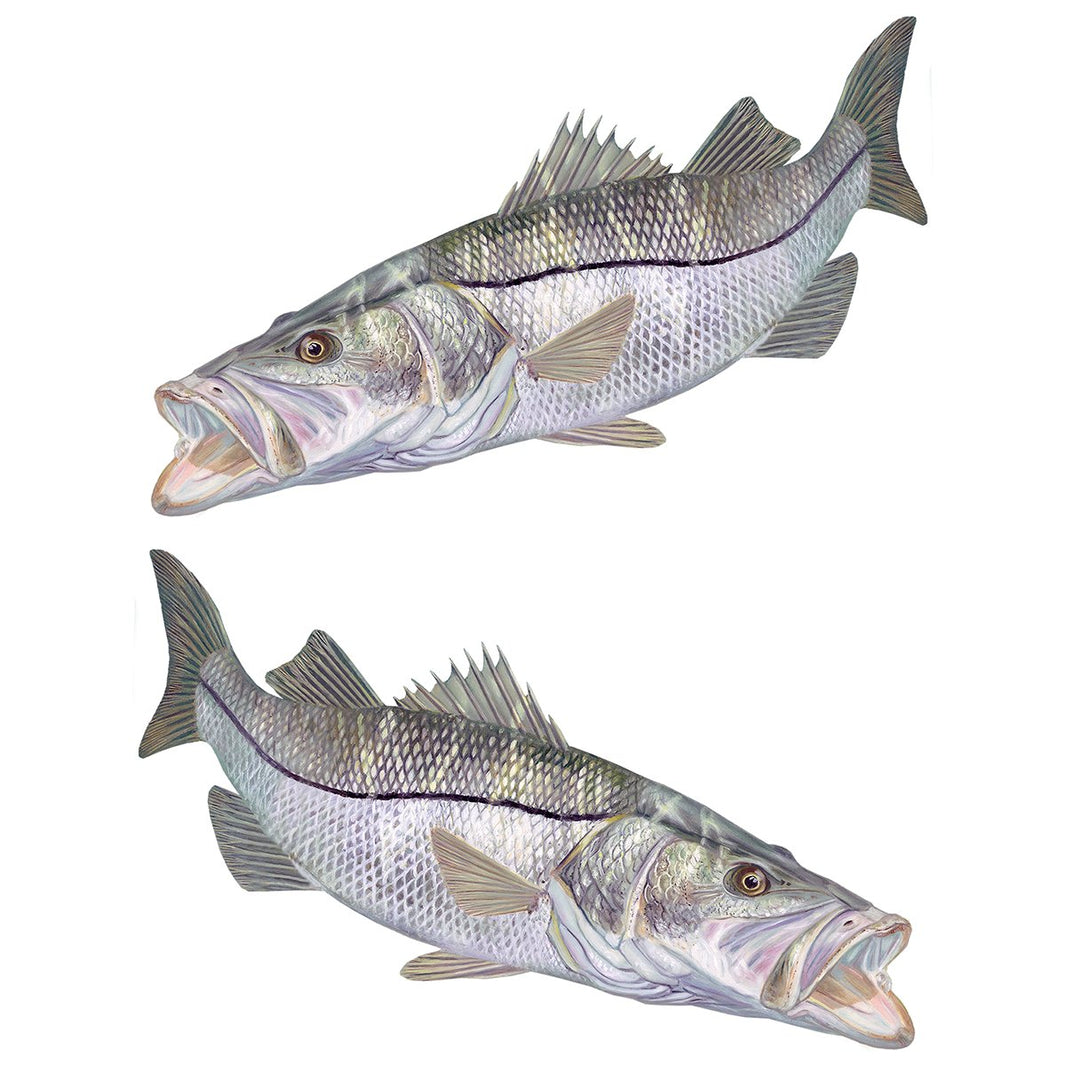 Snook Decals – Skiff Life