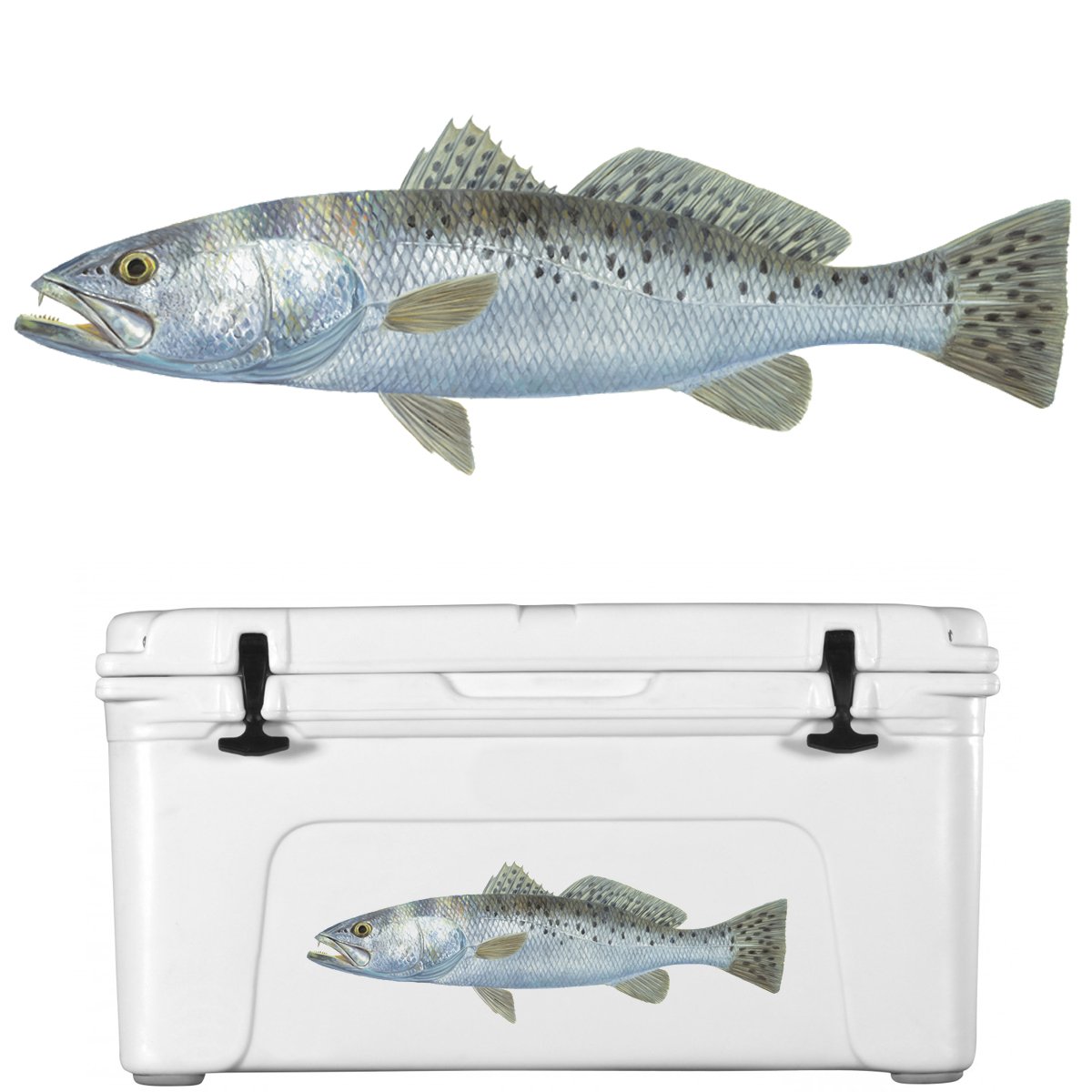 Speckled Sea Trout Decal | UV - Protected Vinyl Trout Sticker for Cars, Trucks, Boats - Skiff Life