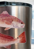 Qty. 2 Redfish Decal Red Drum Fishing Stickers Lifelike Mini - Skiff Life