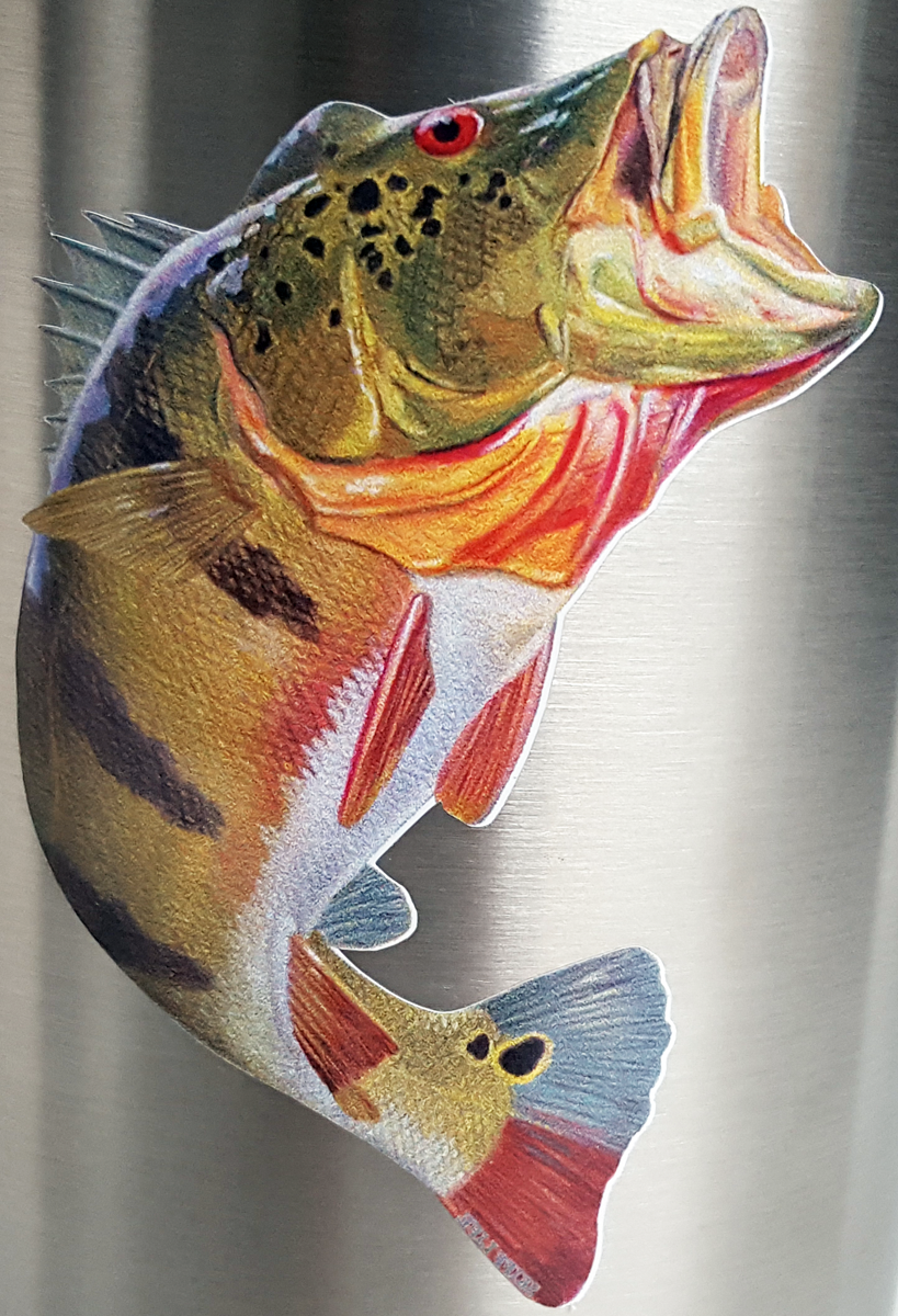 Peacock Bass Fishing Decal Fish Sticker - Skiff Life