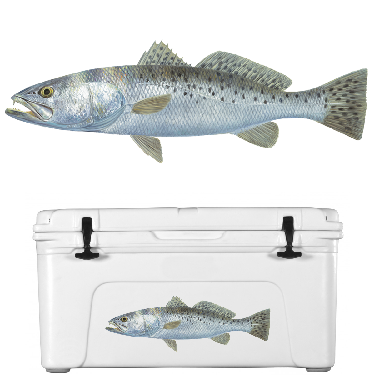 Trout Decal Speckled Lifelike – Skiff Life