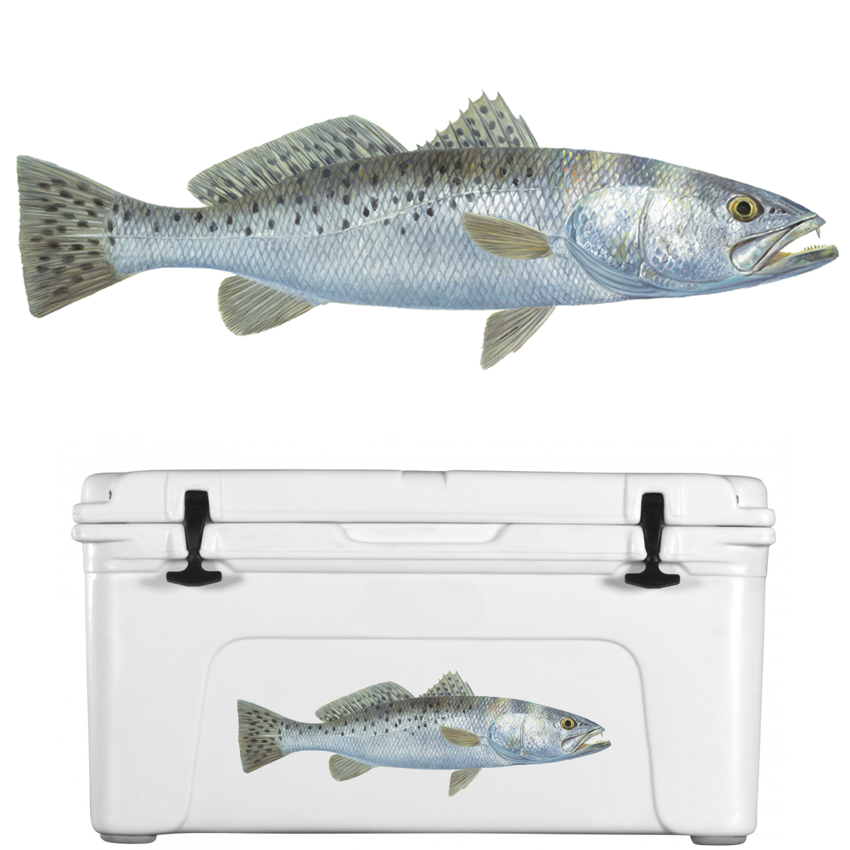 Trout Decal Speckled Lifelike - Skiff Life