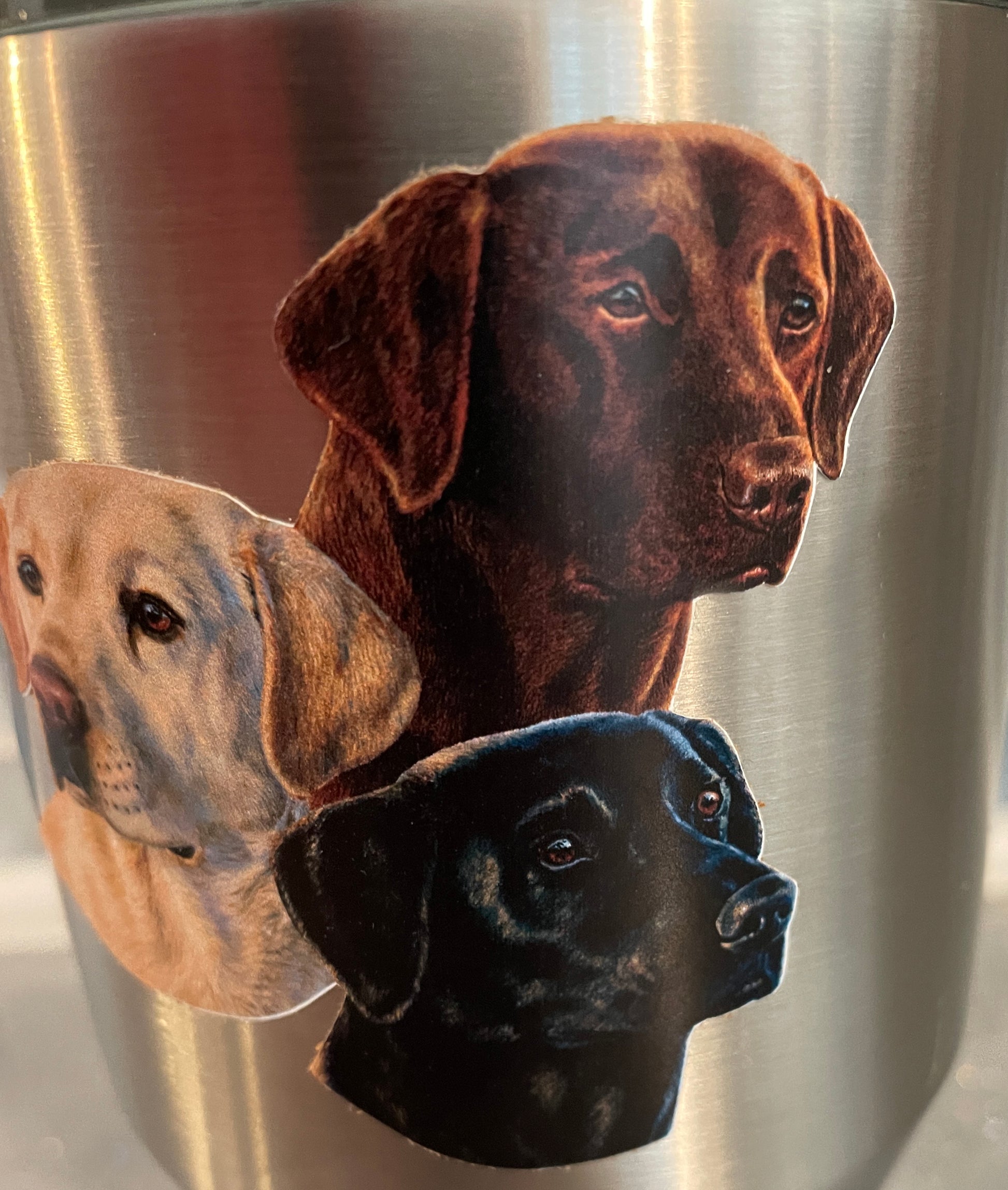 Labrador Retriever Sticker Decal Mini Golden Labrador, Black Labrador, Chocolate Labrador - Skiff Life
