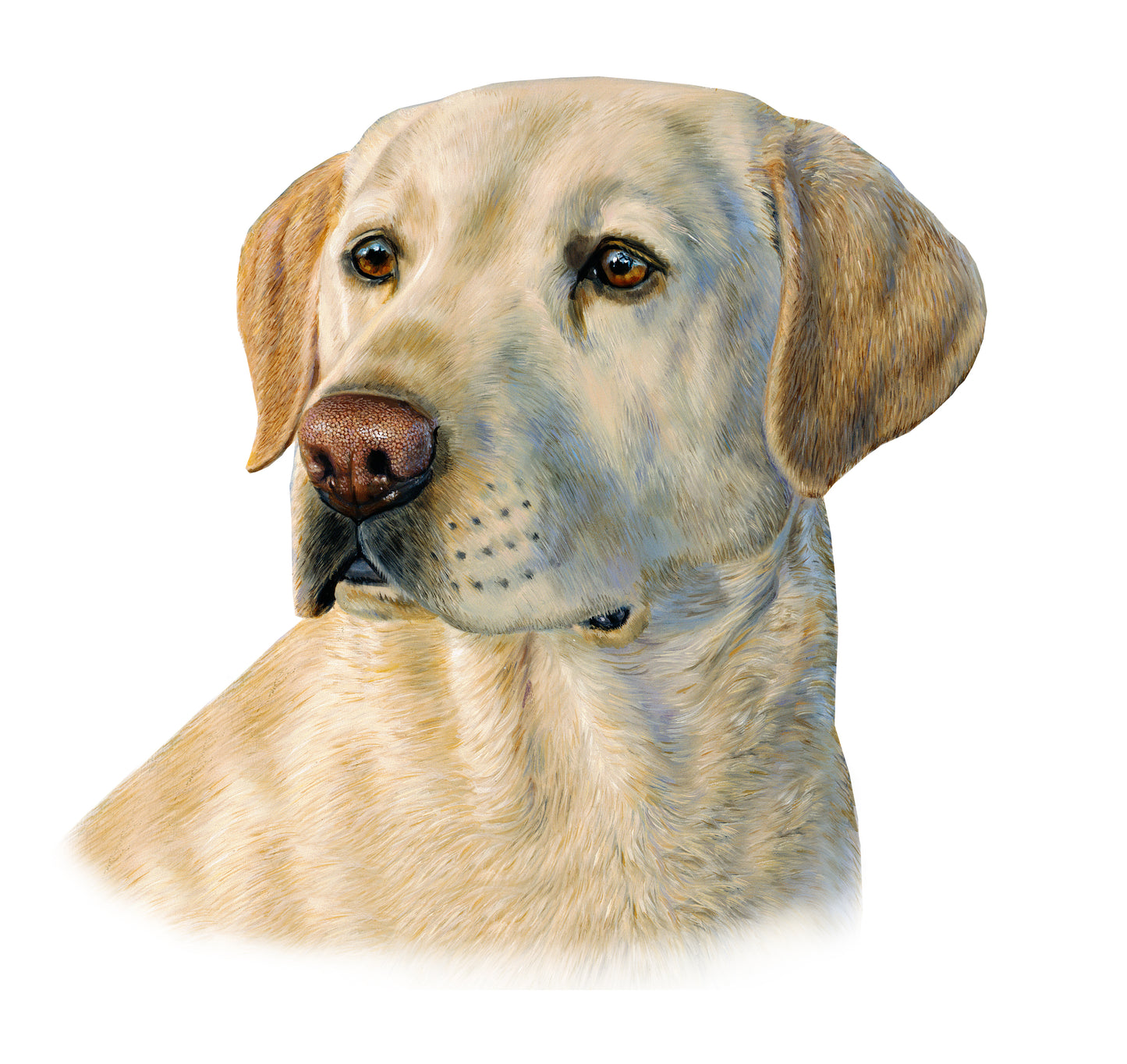 Labrador Retriever Sticker Decal Mini Golden Labrador, Black Labrador, Chocolate Labrador - Skiff Life