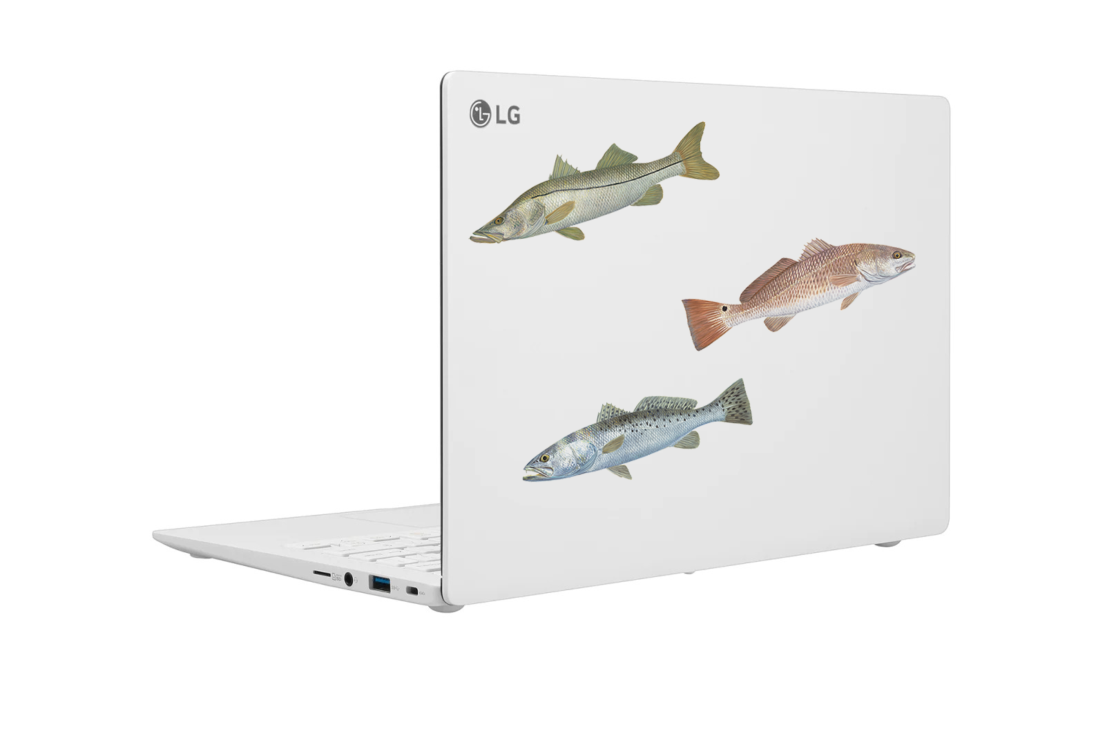 Qty. 3 Trout, Snook, Redfish Fishing Decals Mini Yeti Stickers – Skiff Life