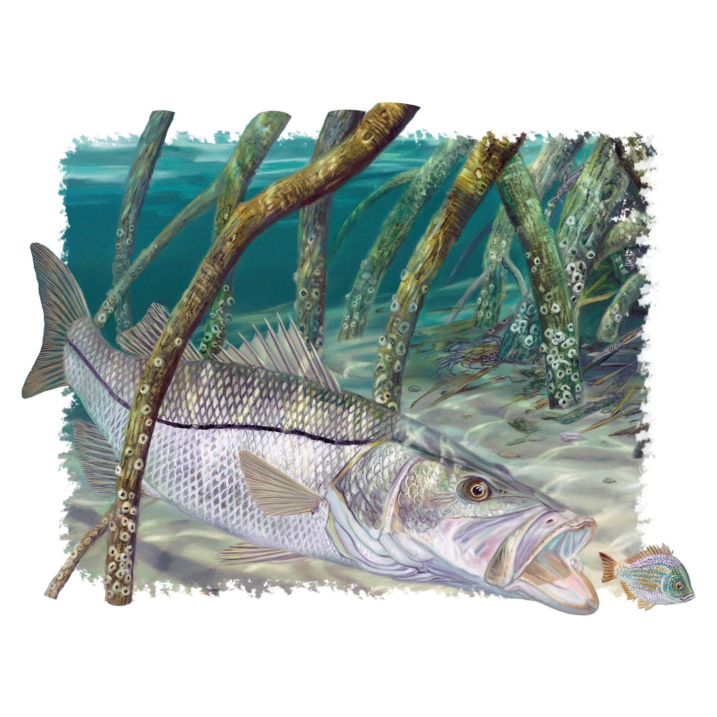 Mangrove Snook Fishing Shirts For Men by Award Winning Artist Randy McGovern - Skiff Life