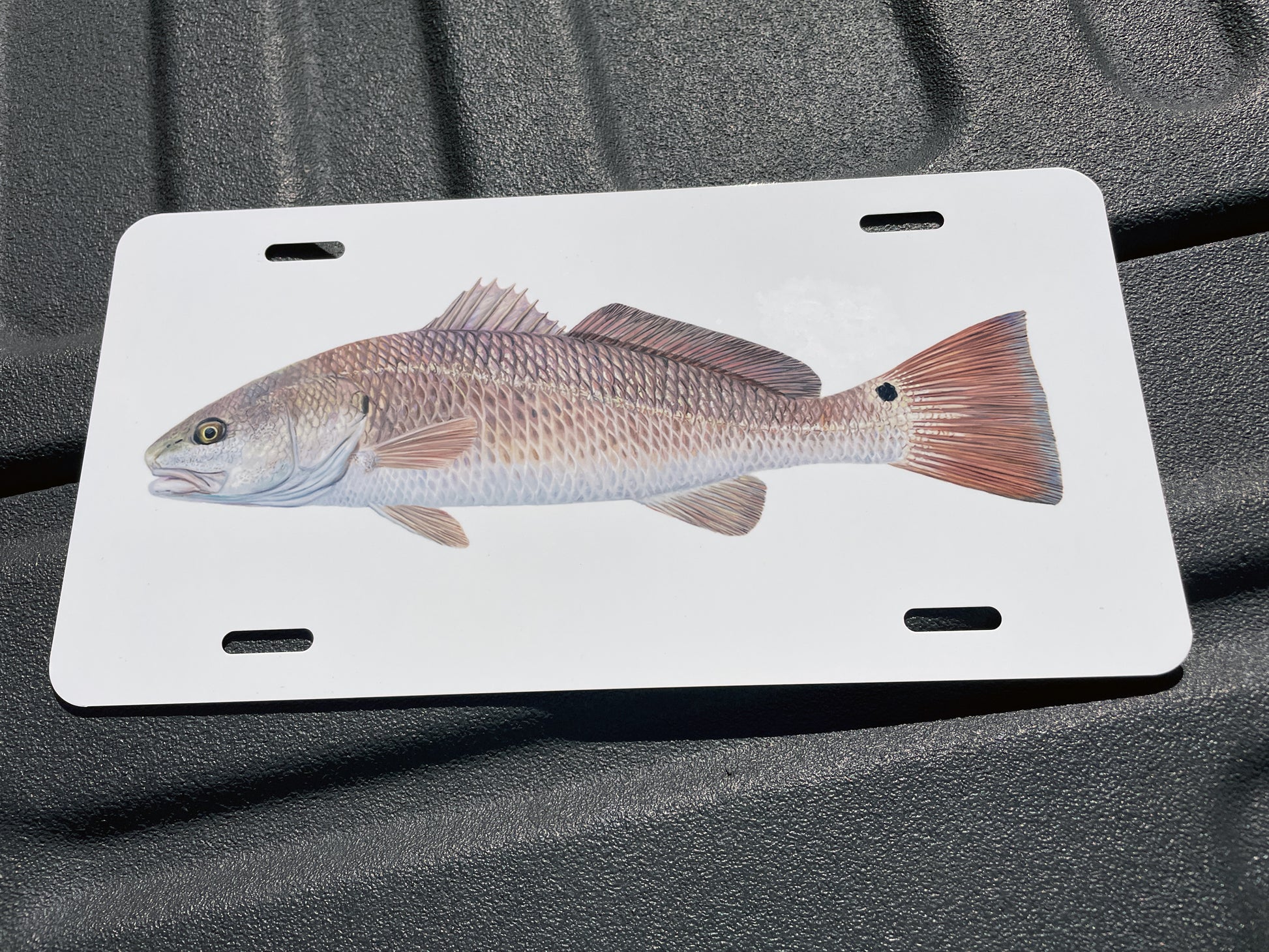 Fishing Front Vehicle License Plate Frame Cover – Skiff Life
